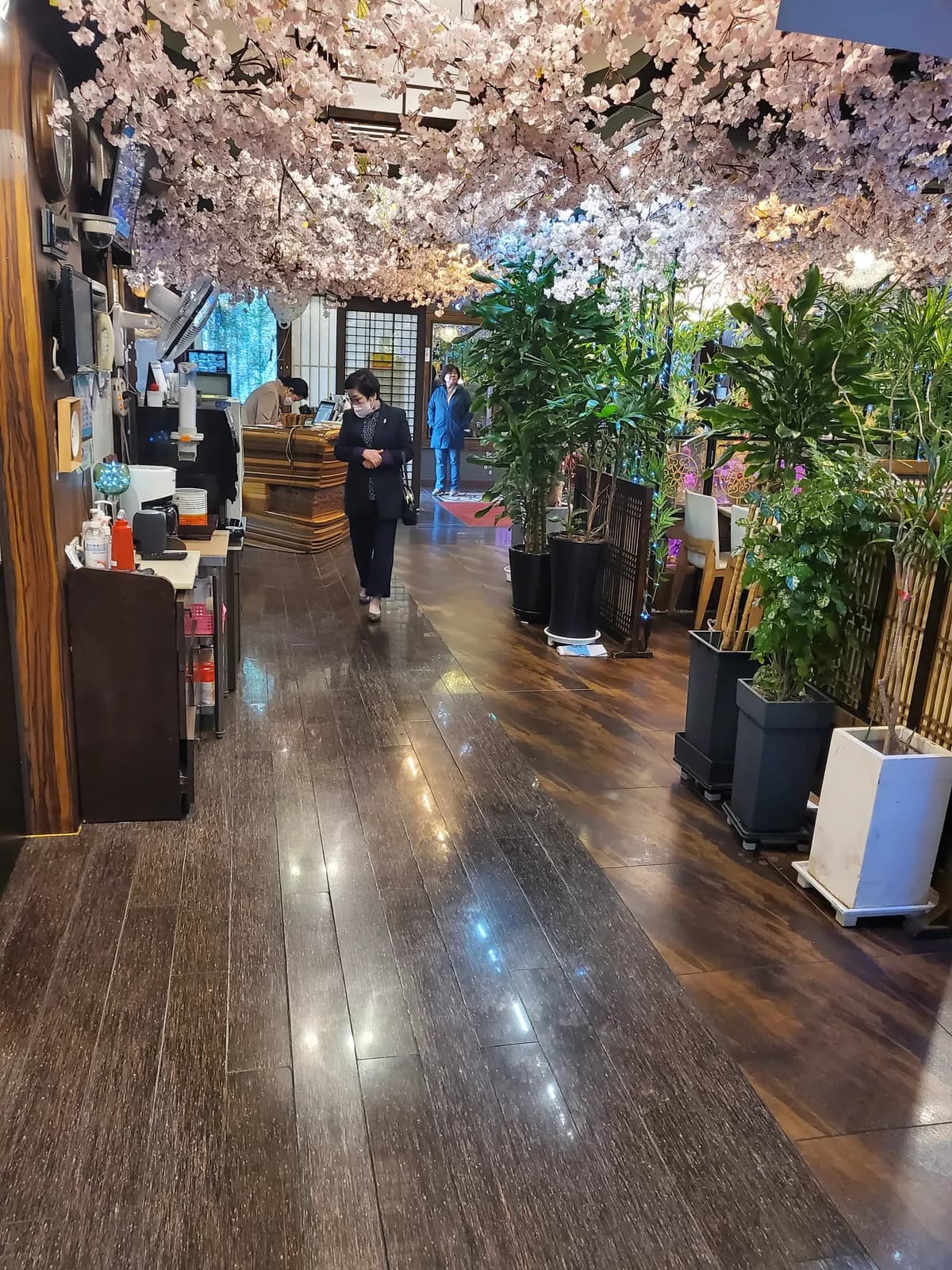 벚꽃 아래 나무 바닥 복도와 화분